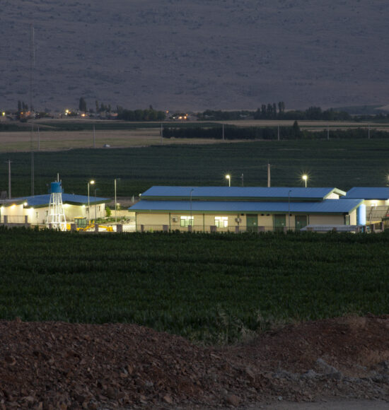 گاوشان